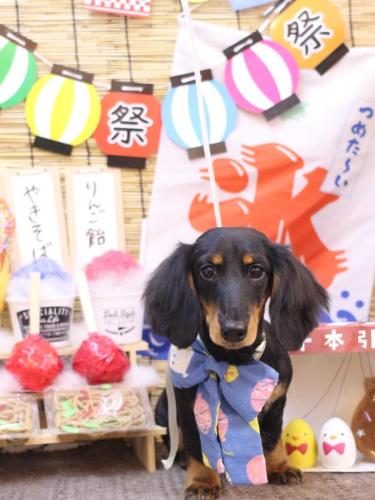 20240725ロブくん